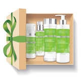 SupremeLab Sebio Derm set sebo-regulating serum 30ml + normalizing and moisturizing cream 50ml + normalizing tonic 200ml + mild face cleansing gel 200g