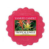 Tropical Jungle fragrance wax 22g