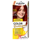 Color Shampoo coloring shampoo for 24 shampoo hair 318 (5-88) Intense Red