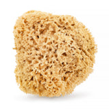 Natural sea sponge 02H 17.5cm Brown