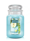 Large, scented candle with two wicks Cilantro Apple & Lime 652g