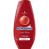 Color Shine conditioner for colored and bleached hair 250 ml