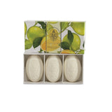 Hand Soap a set of Boboli Citrus hand soaps 3x150g