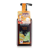 Prime Foam Hand Soap cleansing and refreshing Herbal Citrus 450ml