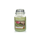 Scented candle, large jar, Lemongrass & Ginger 623g