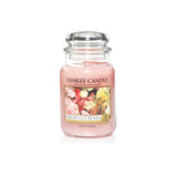 Scented candle, large jar, Fresh Cut Roses® 623g
