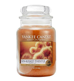 Scented candle, large jar, Sun Kissed Thistle 623g