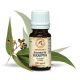 Essential Oil 100% Pure Oil Eucalyptus essential oil 10ml