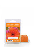 Wax fragrance wax "potpourri" Sunshine & Daisies 64g