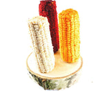 Corn on the cob with vegetables HS.27A