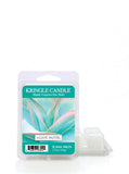 Wax fragrance wax "potpourri" Agave Pastel 64g