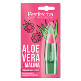 Aloe Vera moisturizing lipstick with aloe vera and raspberry 5g