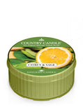 Daylight fragrant candle Citrus And Sage 42g
