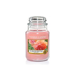 Scented candle, large jar, Sun-Drenched Apricot Rose 623g
