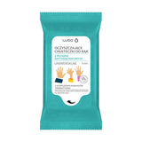 Cleansing hand wipes with antibacterial liquid universal 15 pcs