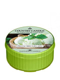 Daylight scented candle Pistachio Gelato 35g