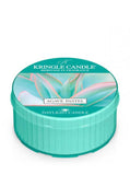 Daylight scented candle Agave Pastel 42g