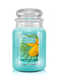 Large, scented candle with two wicks Mango Nectar 680g