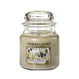 Scented candle, medium, jar, Olive & Thyme 411g