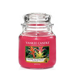 Tropical Jungle scented jar candle medium 411g