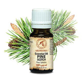Essential Oil 100% Pure Oil Pine Scotch 10ml essential oil