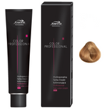 Professional Color Permanent Coloring 8.1 Ashen Light Blond 50g