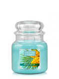 Medium scented candle with two wicks Mango Nectar 453g