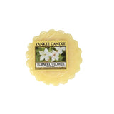 Fragrance wax Tobacco Flower 22g