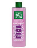 Fruit and Herb hair shampoo Burdock & Blueberry 400ml