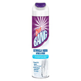 Active foam, bacteria and dirt, cleaning agent 600ml