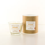Warm up with aromatherapy candle Cinnamon & Clove & Orange 100ml