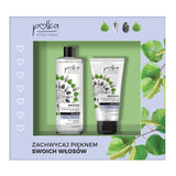 Birch hair shampoo kit reconstruction + revitalization 400ml + hair mask Birch regeneration + shine 200ml