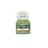 Small jar scented candle Wild Mint 104g