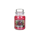 Scented candle, large jar, Red Raspberry 623g