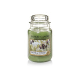 Scented candle, large jar, Olive & Thyme 623g
