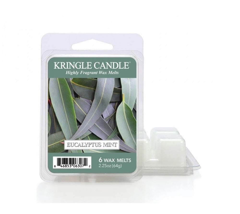 Wax fragrance wax "potpourri" Eucalyptus Mint 64g Cosmetics beauty shop