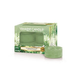 Tealight Candle Afternoon Escape 12pcs.