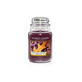 Scented jar candle Autumn Glow 623g