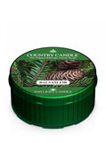 Daylight scented candle Balsam Fir 35g