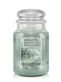 Large scented candle with two wicks Frosty Branches 652g