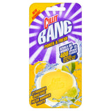 Power & Fresh cube for the toilet Citrus Fresh 40g