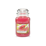 Scented candle, large jar, Pink Dragon Fruit 623g