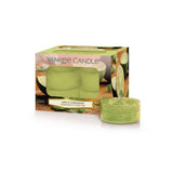 Tealight candle Lime & Coriander 12 pcs.