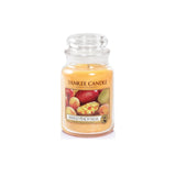 Scented candle, large jar, Mango Peach Salsa 623g