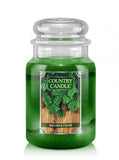 Large scented candle with two wicks Balsam & Cedar 652g