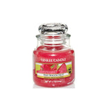 Small scented jar candle Pink Dragon Fruit 104g