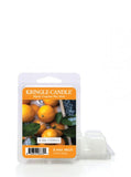 Wax fragrance wax "potpourri" Iced Citrus 64g