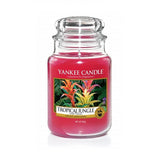 Large jar scented candle Tropical Jungle 623g