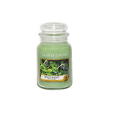 Scented candle, large jar, Wild Mint 623g