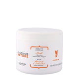 Precious Nature Mask mask for colored hair Almond & Pistachio 500ml